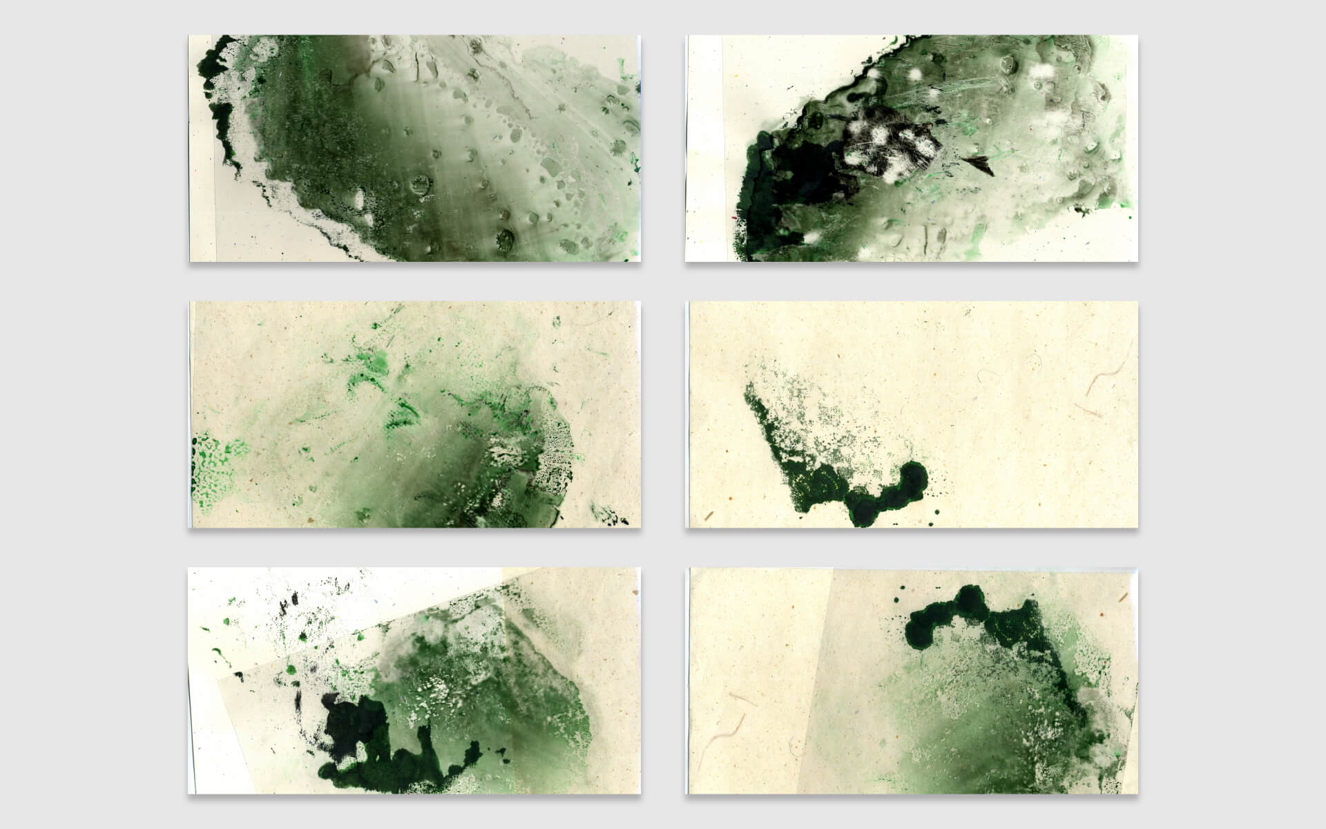 Hora Torguiana Initial Tests