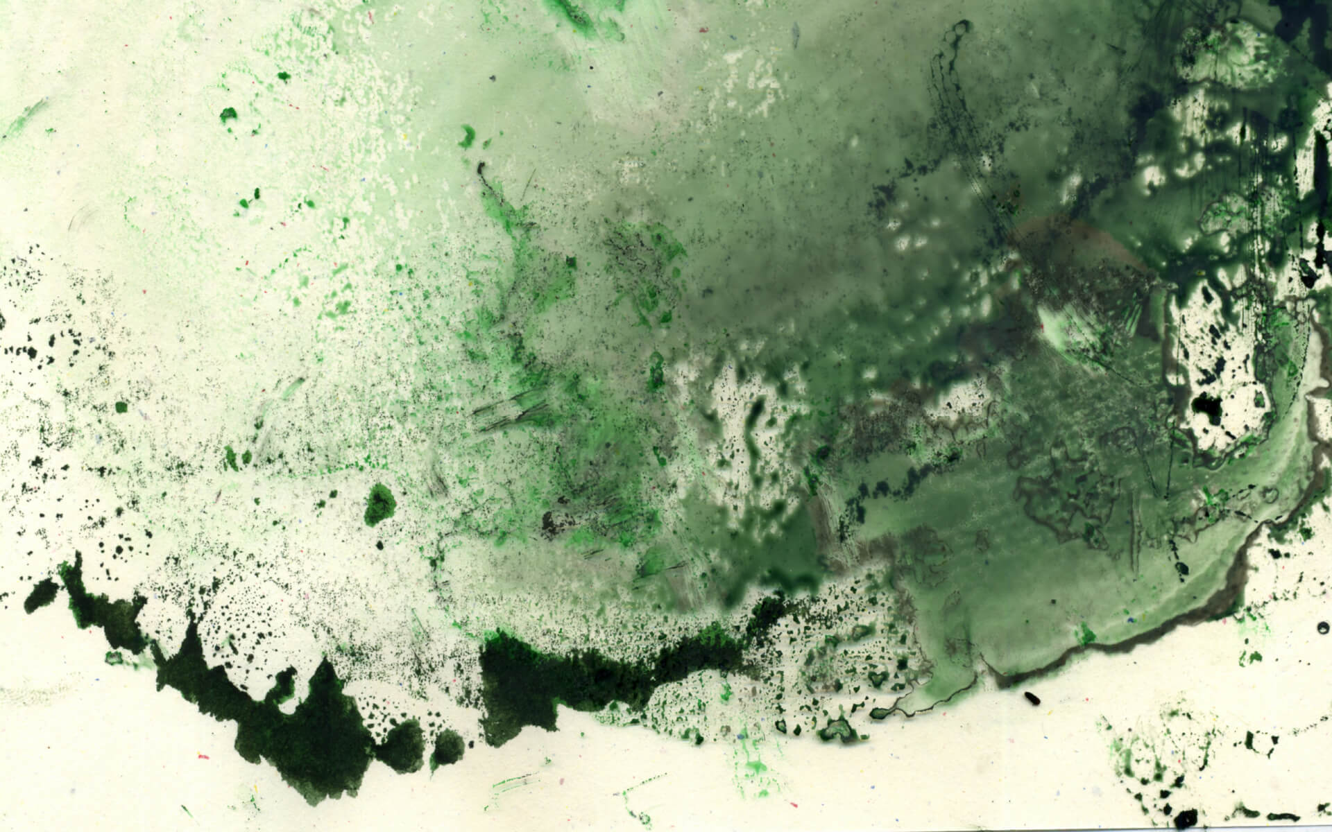 Hora Torguiana Background Detail