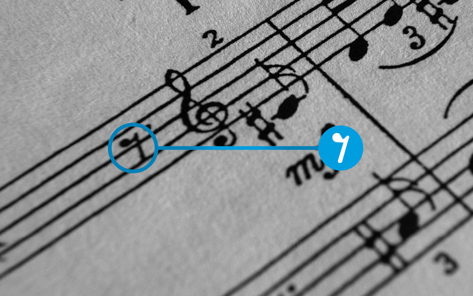 Sete Notas Logo Origin